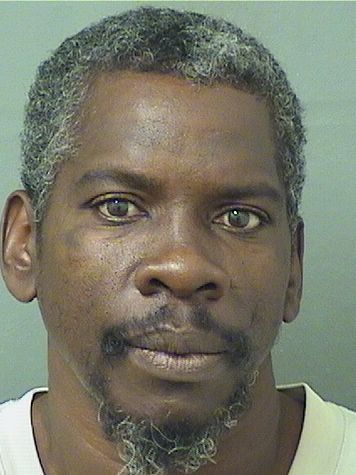  RODNEY E BRINSON Results from Palm Beach County Florida for  RODNEY E BRINSON