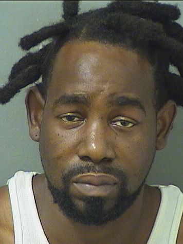  JAMIE L DEMORY Results from Palm Beach County Florida for  JAMIE L DEMORY