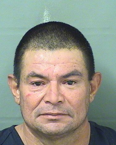  ALEX GONZALEZ Resultados de la busqueda para Palm Beach County Florida para  ALEX GONZALEZ