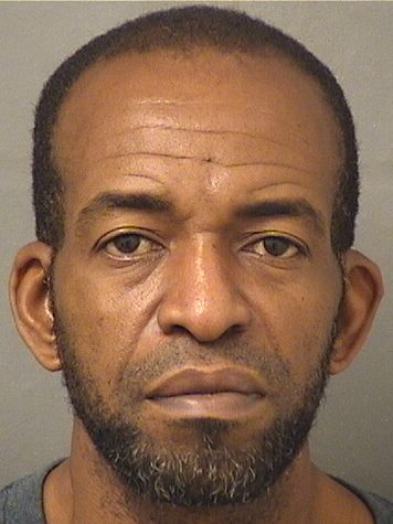  DAVID P GOODMAN Results from Palm Beach County Florida for  DAVID P GOODMAN