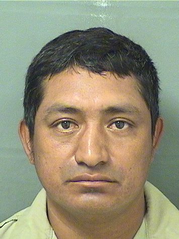  OVIDIO MORALES Results from Palm Beach County Florida for  OVIDIO MORALES