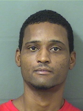  MICHAEL ALI JAMES Results from Palm Beach County Florida for  MICHAEL ALI JAMES