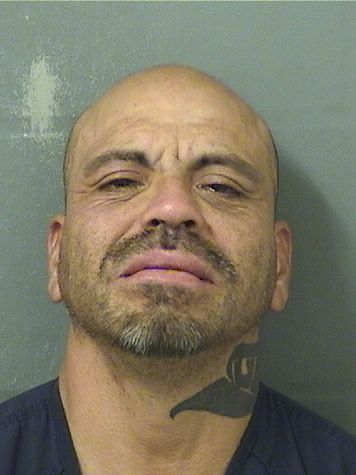  ROLANDO SANCHEZ Results from Palm Beach County Florida for  ROLANDO SANCHEZ