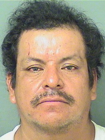  ADELFO PEREZ Results from Palm Beach County Florida for  ADELFO PEREZ