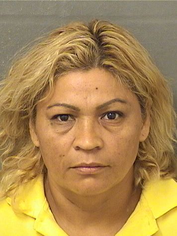  FLORDE MARIA BONILLA YANES Results from Palm Beach County Florida for  FLORDE MARIA BONILLA YANES