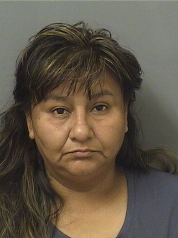  MIRNA MIRELLA PINEDA Results from Palm Beach County Florida for  MIRNA MIRELLA PINEDA