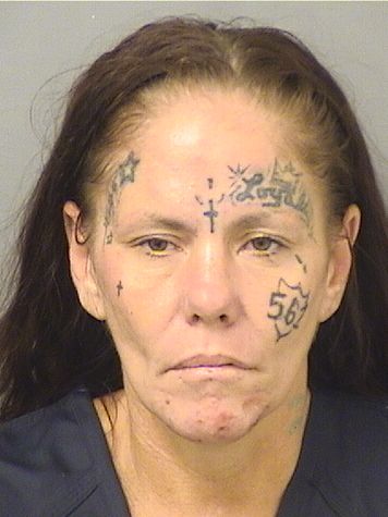  FRANCES H TAPIA Results from Palm Beach County Florida for  FRANCES H TAPIA