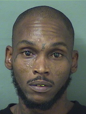  REGINALD LEE Jr TAYLOR Results from Palm Beach County Florida for  REGINALD LEE Jr TAYLOR