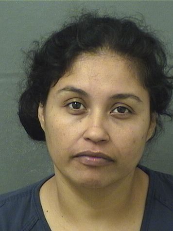  MARIA INEZ ORTIZ Results from Palm Beach County Florida for  MARIA INEZ ORTIZ