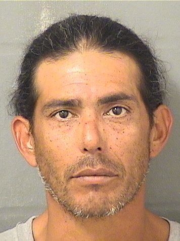  LAZARO AURIELO HERNANDEZ Results from Palm Beach County Florida for  LAZARO AURIELO HERNANDEZ