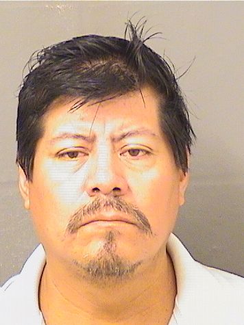  ADULFO MAZARIEGOSROBLERO Results from Palm Beach County Florida for  ADULFO MAZARIEGOSROBLERO