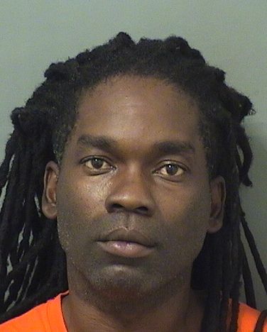  RONNIE C J WILLIAMS Results from Palm Beach County Florida for  RONNIE C J WILLIAMS