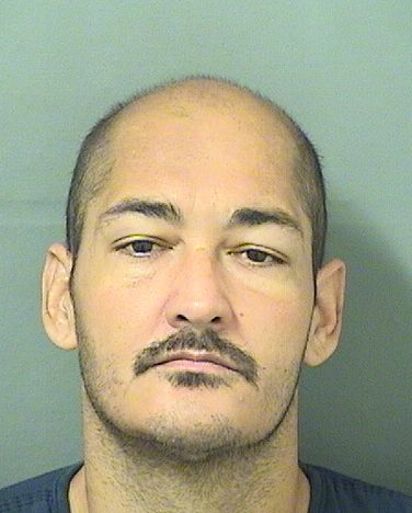  GREGORIO FIGUEROA PEREZ Results from Palm Beach County Florida for  GREGORIO FIGUEROA PEREZ