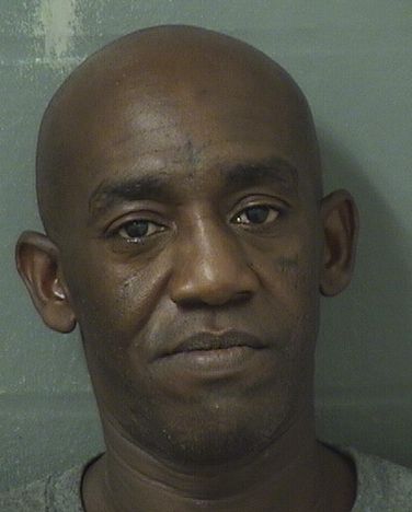  MICHAEL TREMAIN AKINS Results from Palm Beach County Florida for  MICHAEL TREMAIN AKINS