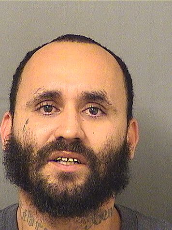  DANIEL JOSE AGOSTO Results from Palm Beach County Florida for  DANIEL JOSE AGOSTO