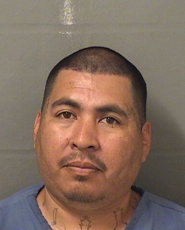  ERICK TREVINO Resultados de la busqueda para Palm Beach County Florida para  ERICK TREVINO