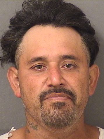  ERNESTO  Jr GARCIA Results from Palm Beach County Florida for  ERNESTO  Jr GARCIA