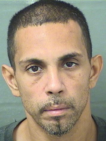  IRVING DEJESUS LOPEZ Results from Palm Beach County Florida for  IRVING DEJESUS LOPEZ