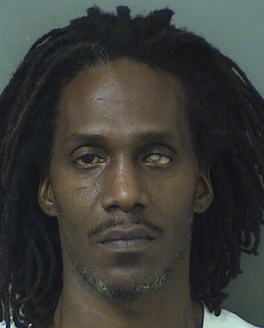  WILLIAM JERMAINE ANDERSON Results from Palm Beach County Florida for  WILLIAM JERMAINE ANDERSON