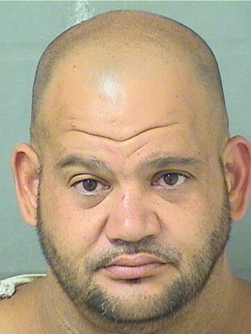  ELVIS WILLIAM PIETRI Resultados de la busqueda para Palm Beach County Florida para  ELVIS WILLIAM PIETRI