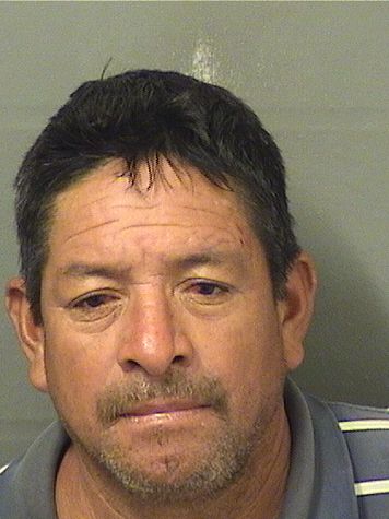  ALEX GONZALEZ Resultados de la busqueda para Palm Beach County Florida para  ALEX GONZALEZ