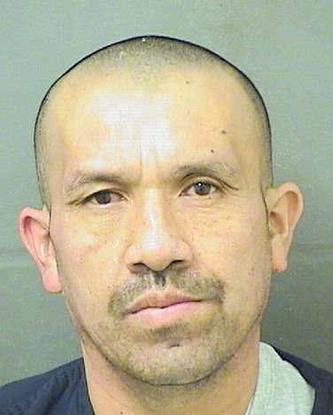 GERARDO GARCIA Results from Palm Beach County Florida for GERARDO GARCIA GERARDO GARCIA Results from Palm Beach County Florida for GERARDO GARCIA