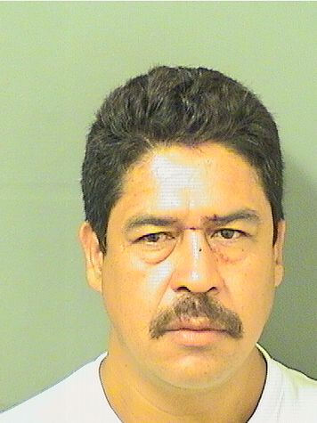  AMPARO ABREGO Resultados de la busqueda para Palm Beach County Florida para  AMPARO ABREGO