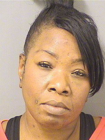  ALLISON E JAMES Resultados de la busqueda para Palm Beach County Florida para  ALLISON E JAMES