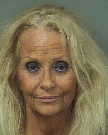  ASHLEY M WYATT Resultados de la busqueda para Palm Beach County Florida para  ASHLEY M WYATT