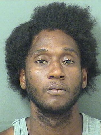  ANTHONY LEVAR LASTER Results from Palm Beach County Florida for  ANTHONY LEVAR LASTER
