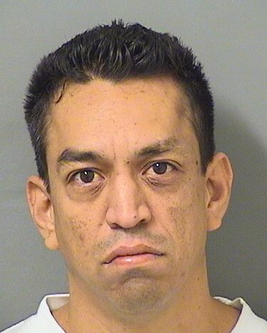 MICHAEL CASAREZ Resultados de la busqueda para Palm Beach County Florida para  MICHAEL CASAREZ