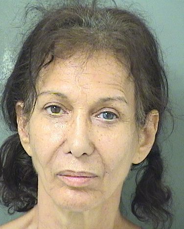  ROCHELLE WEISSMAN STEFANOVIC Results from Palm Beach County Florida for  ROCHELLE WEISSMAN STEFANOVIC