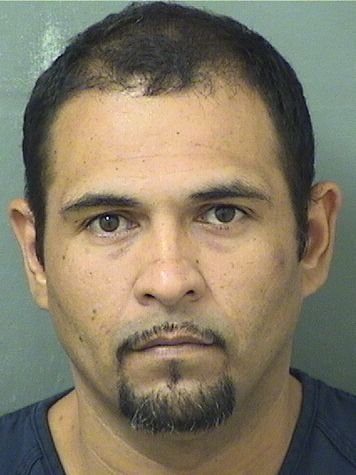  JOSE LUISJ RODRIGUEZ Results from Palm Beach County Florida for  JOSE LUISJ RODRIGUEZ