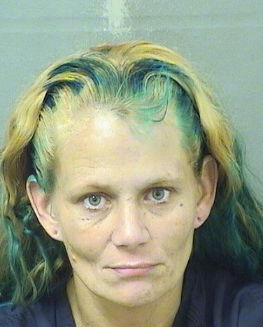  LISA LYNN CRICKENBERGER Results from Palm Beach County Florida for  LISA LYNN CRICKENBERGER