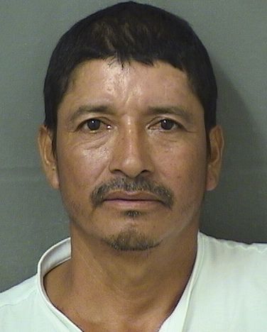  LEONEL AROLDO GONZALEZ Resultados de la busqueda para Palm Beach County Florida para  LEONEL AROLDO GONZALEZ