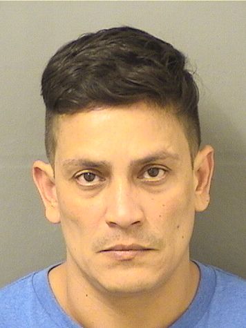  HECTOR FELIPE LEIVA Results from Palm Beach County Florida for  HECTOR FELIPE LEIVA