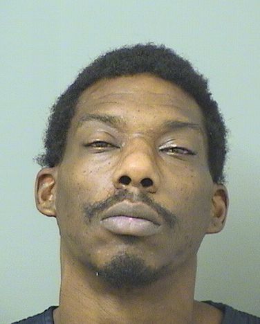  JAMES LACEY RICE Results from Palm Beach County Florida for  JAMES LACEY RICE