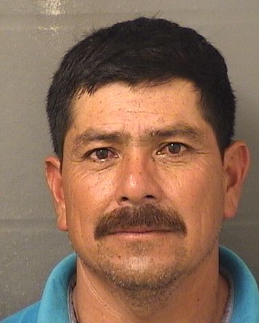 NICOMEDES GARCIA VILLATTORO Results from Palm Beach County Florida for NICOMEDES GARCIA VILLATTORO NICOMEDES GARCIA VILLATTORO Results from Palm Beach County Florida for NICOMEDES GARCIA VILLATTORO