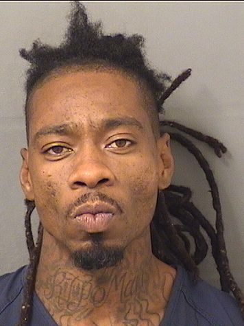  ALVIN GEROME Jr MARTIN Resultados de la busqueda para Palm Beach County Florida para  ALVIN GEROME Jr MARTIN