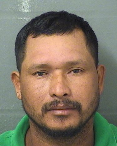 JOSE LORENZO REYES MUNGUIA Photos For  JOSE LORENZO REYES MUNGUIA  JOSE LORENZO REYES MUNGUIA Photo For  JOSE LORENZO REYES MUNGUIA