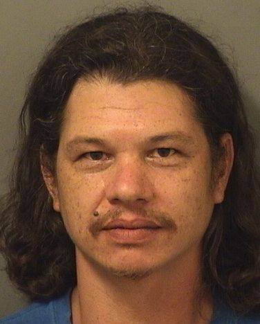  ALESSANDRO K VICTA Photo For  ALESSANDRO K VICTA