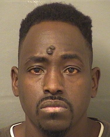  ANTONIO WILKERSON Results from Palm Beach County Florida for  ANTONIO WILKERSON