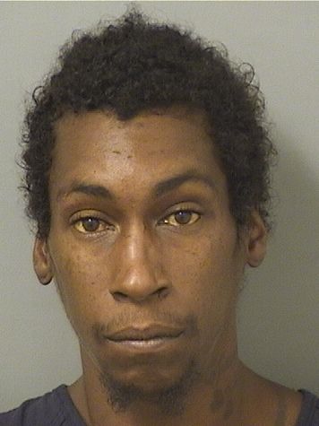  MICHEAL STANLEY GUNN Results from Palm Beach County Florida for  MICHEAL STANLEY GUNN