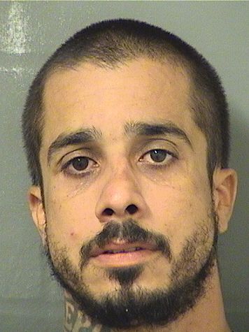  MANUEL L PEREZ Results from Palm Beach County Florida for  MANUEL L PEREZ