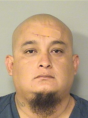  JOSE GARCIA Results from Palm Beach County Florida for  JOSE GARCIA