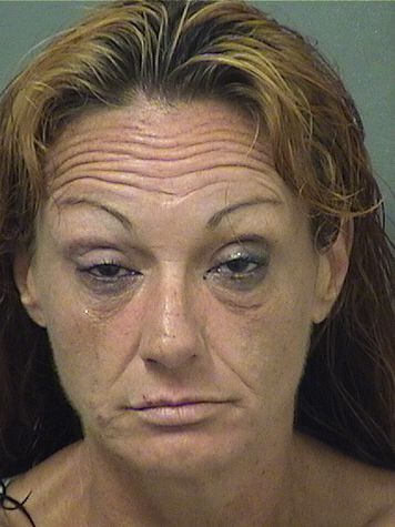 SHANNON COLLEY Results from Palm Beach County Florida for SHANNON COLLEY SHANNON COLLEY Results from Palm Beach County Florida for SHANNON COLLEY