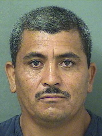  DENNIS FERNANDO PADILLAVINDEL Results from Palm Beach County Florida for  DENNIS FERNANDO PADILLAVINDEL