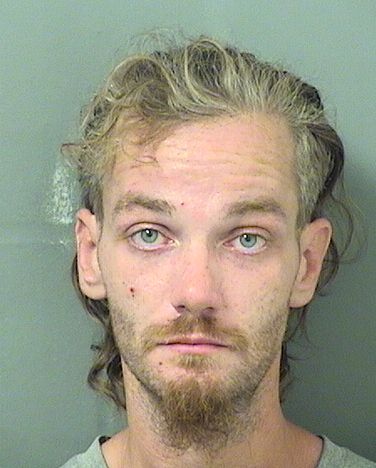  RONALD CHRISTOPHER MCCOTTER Results from Palm Beach County Florida for  RONALD CHRISTOPHER MCCOTTER