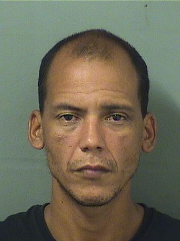  KELVIN RADAMES SAGARDIACARRERO Results from Palm Beach County Florida for  KELVIN RADAMES SAGARDIACARRERO