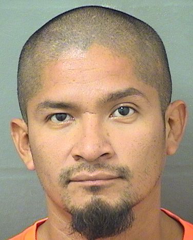  PAUL  Jr ORTIZ Resultados de la busqueda para Palm Beach County Florida para  PAUL  Jr ORTIZ